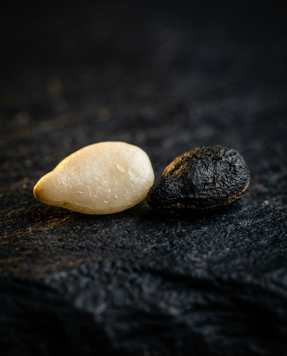 Sésame noir vs sésame blanc : goût, nutrition, prix,les vraies différences